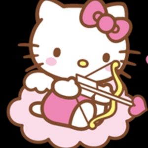 Meet your Posher, Ajanet